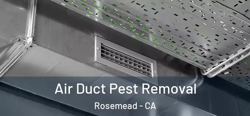  Air Duct Pest Removal Rosemead - CA