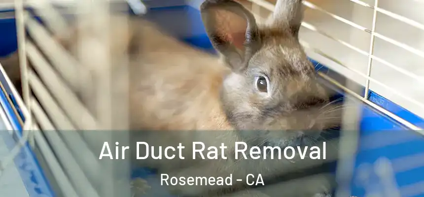 Air Duct Rat Removal Rosemead - CA