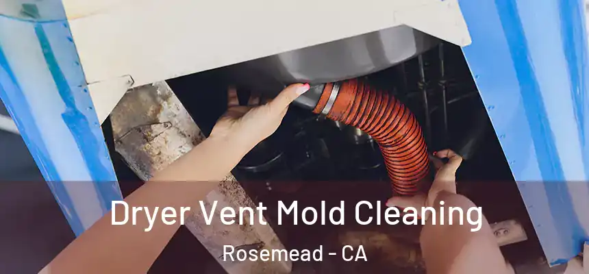 Dryer Vent Mold Cleaning Rosemead - CA
