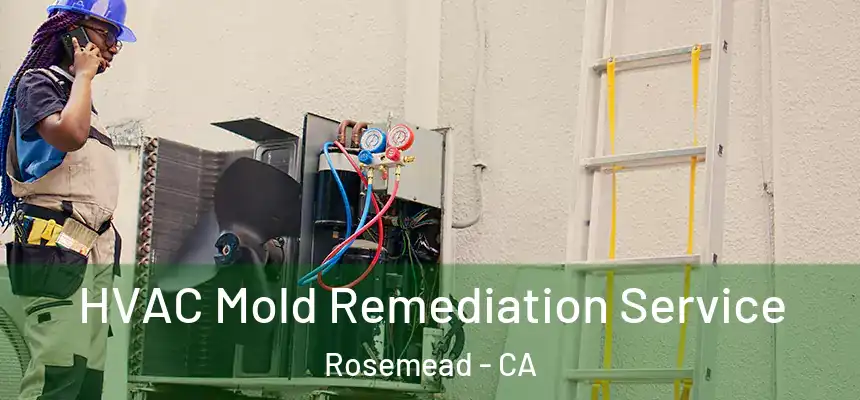 HVAC Mold Remediation Service Rosemead - CA