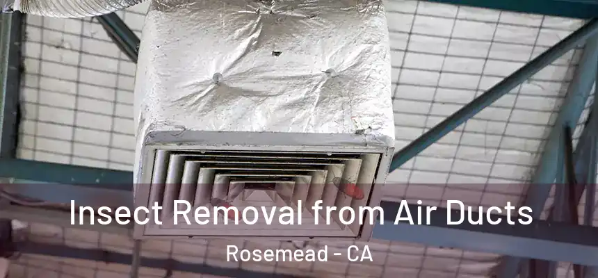 Insect Removal from Air Ducts Rosemead - CA