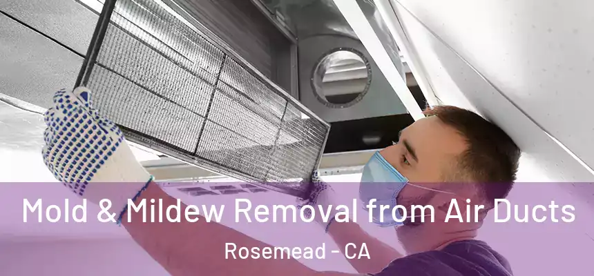  Mold & Mildew Removal from Air Ducts Rosemead - CA