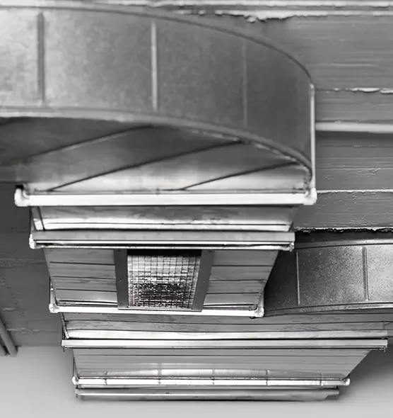 Professional Air Duct Pest Removal in Rosemead, CA