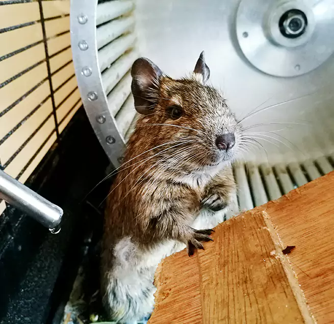 Why Homeowners & Businesses Trust Us Rosemead, CA